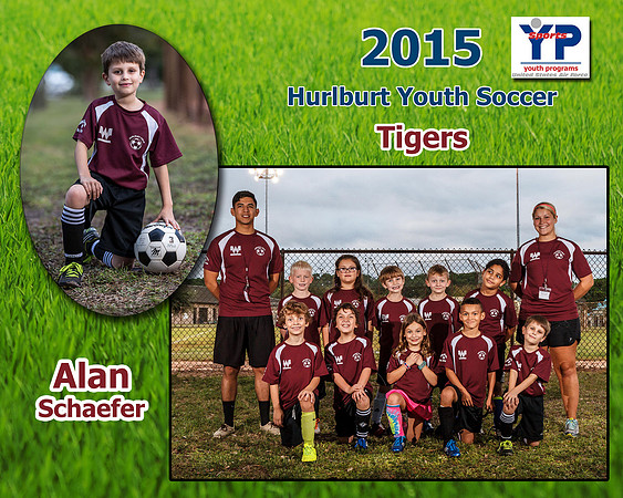 MemoryMate_Tigers_Alan