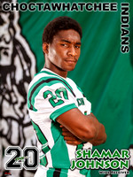 email_JohnsonS_CHS Stadium Poster 2013