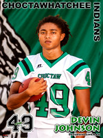 email_JohnsonD_CHS Stadium Poster 2013