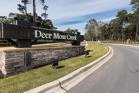 Deer Moss Creek_2018_LR_11_17_023