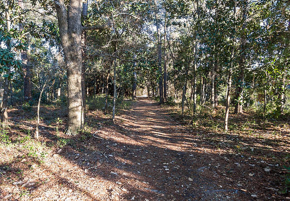 130 Tamara_Drone_2017_03_15_030