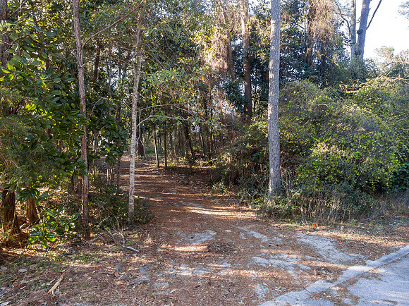 130 Tamara_Drone_2017_03_15_034