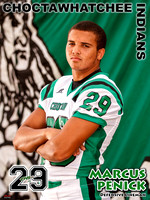 email_Penick_CHS Stadium Poster 2013