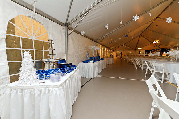 Holly Ball_2011_12_10_052