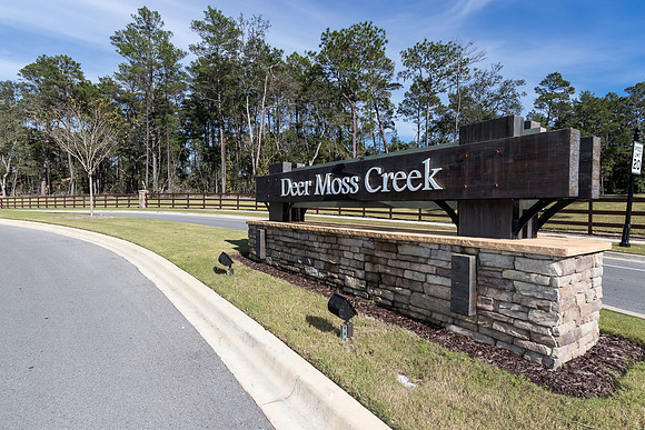 Deer Moss Creek_2018_LR_11_17_020