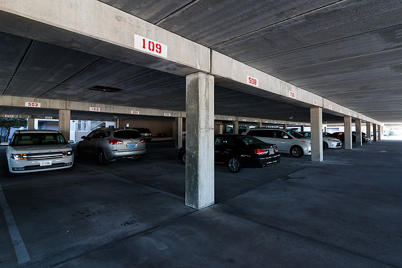 _Island Princess_2019_01_28_003