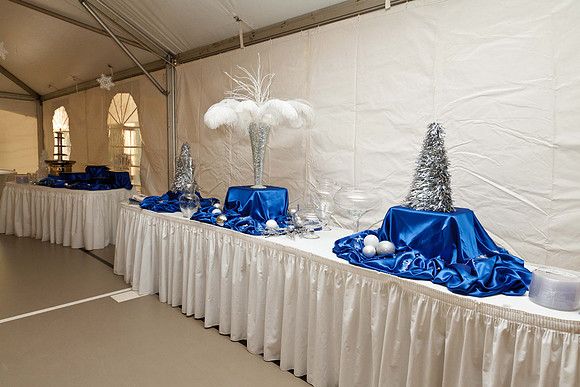 Holly Ball_2011_12_10_046
