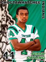 email_Gatling_CHS Stadium Poster 2013