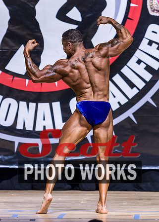 2017PHS_NS_80D_1332