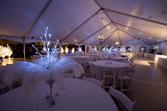 Holly Ball_2011_12_10_085