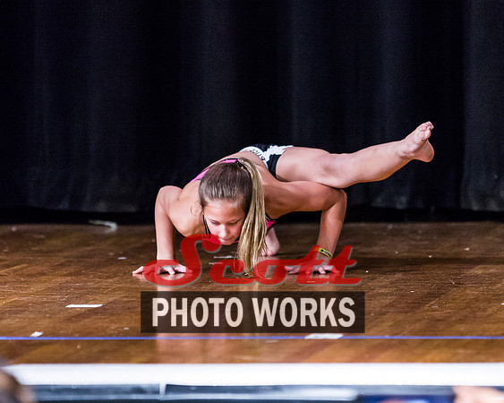ECC2015_Night_5D3_473