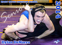 DeMarra_RBCS Senior Poster_Portrait