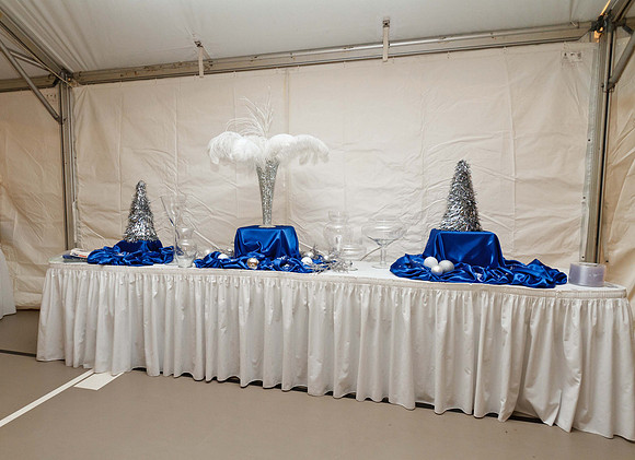 Holly Ball_2011_12_10_047