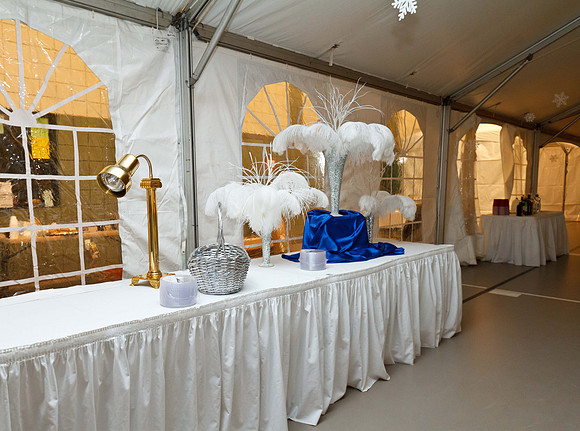Holly Ball_2011_12_10_045