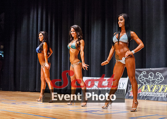 PHS2014_Nightshow_Groups_40D_022