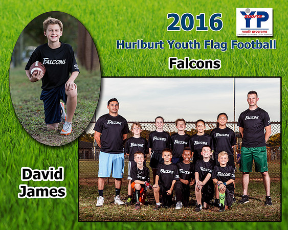 MemoryMate_Falcons_David